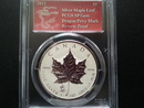加拿大2012年楓葉 小龍紀念銀幣